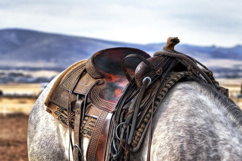 Wild West